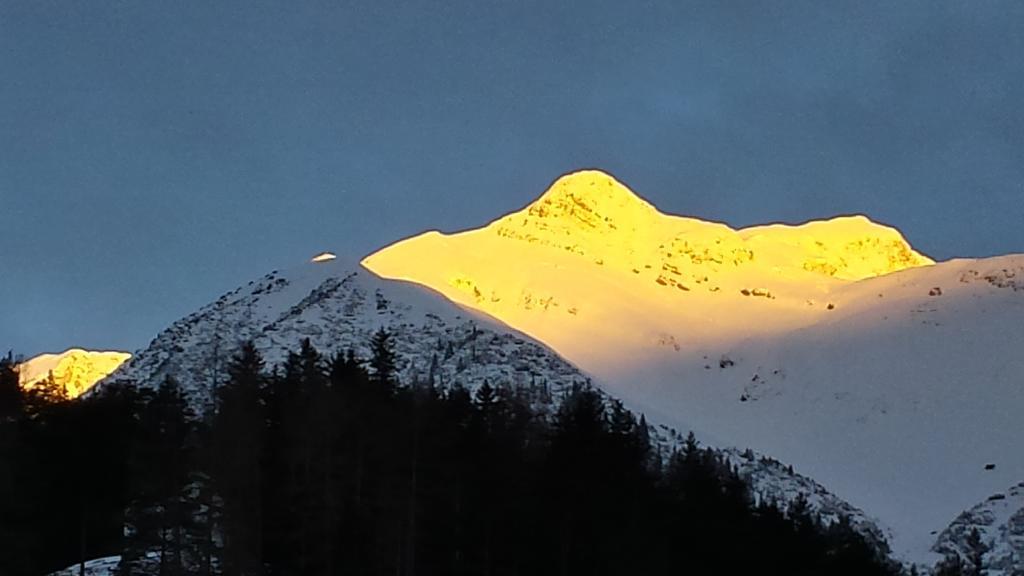 Appartement Ebster Pettneu am Arlberg Eksteriør billede